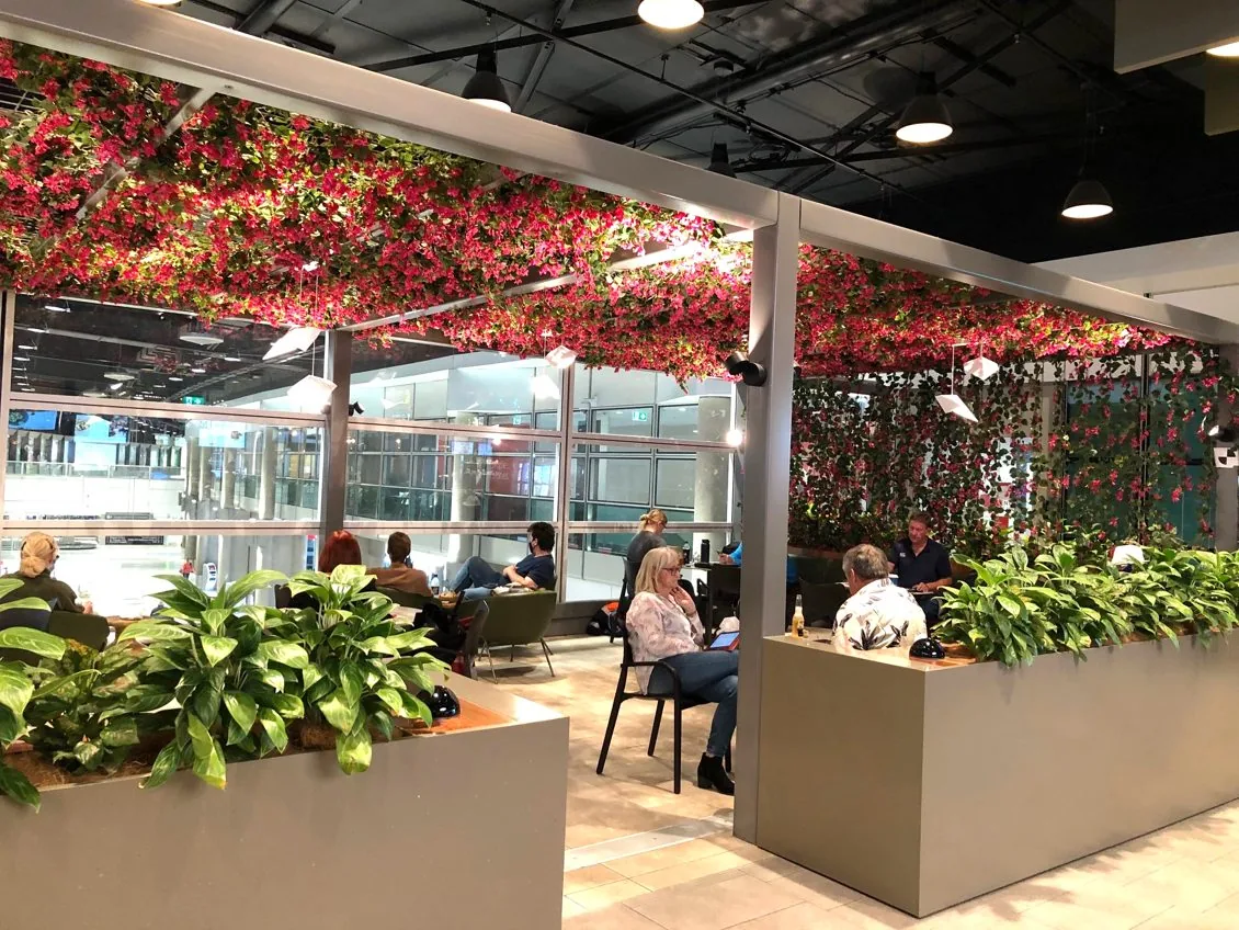 How Much Does Commercial Plantscaping Cost? A Transparent Pricing Breakdown