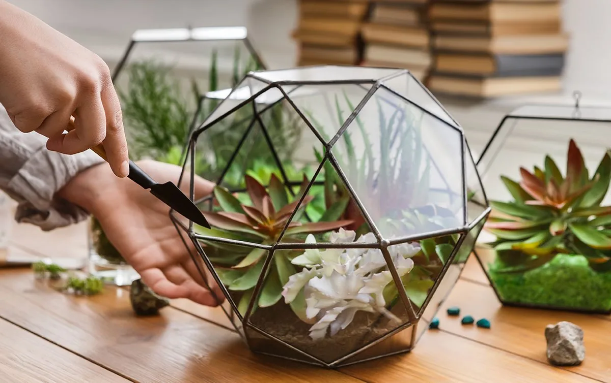 Virtual Plant Design Events by Biozenic