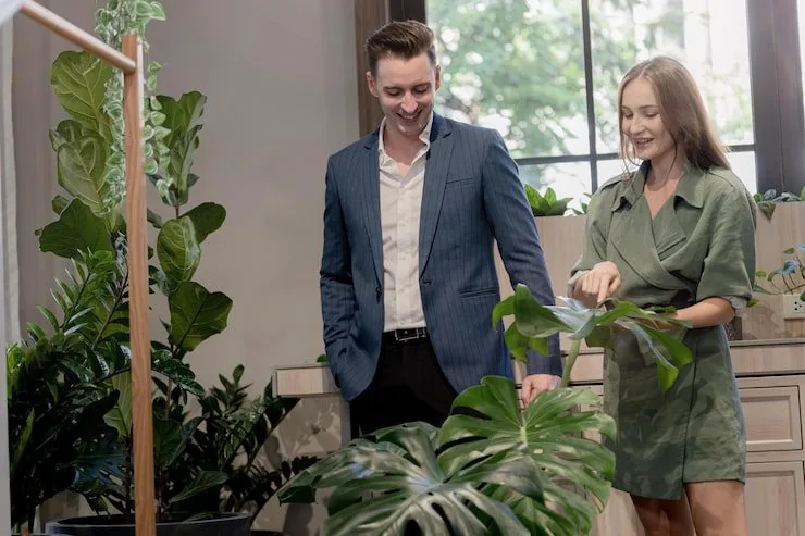 How Biophilic Design Increases Commercial Property Value