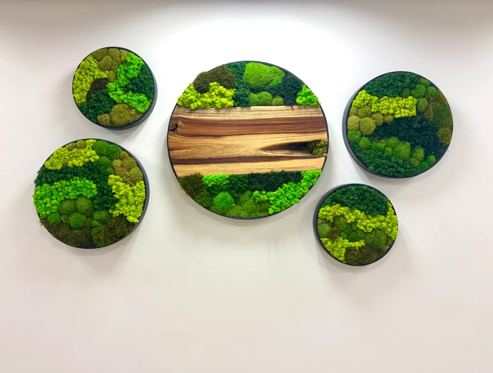 Round preserved moss art pieces with natural wood
