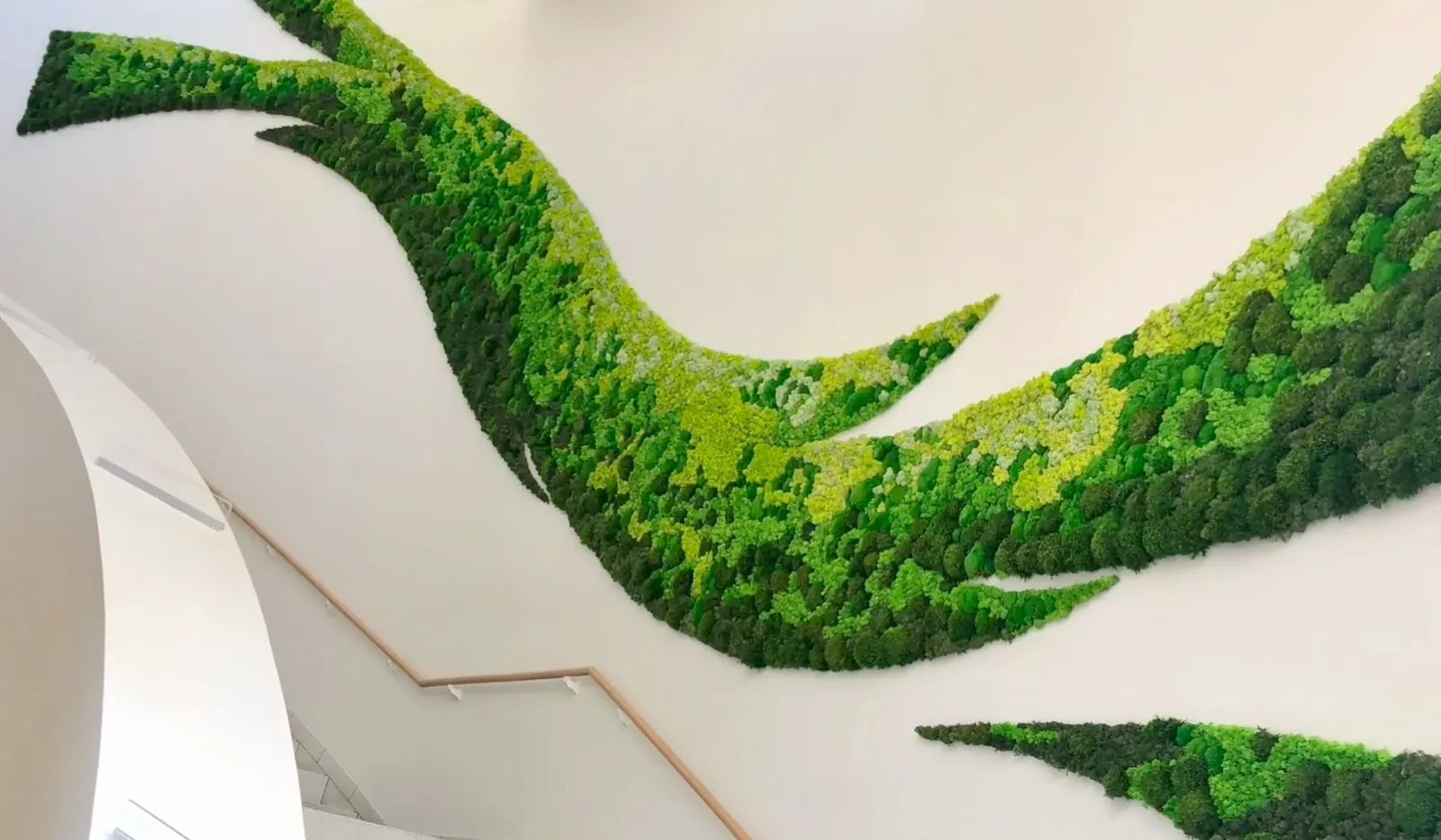 A flowing moss shape on a white wall
