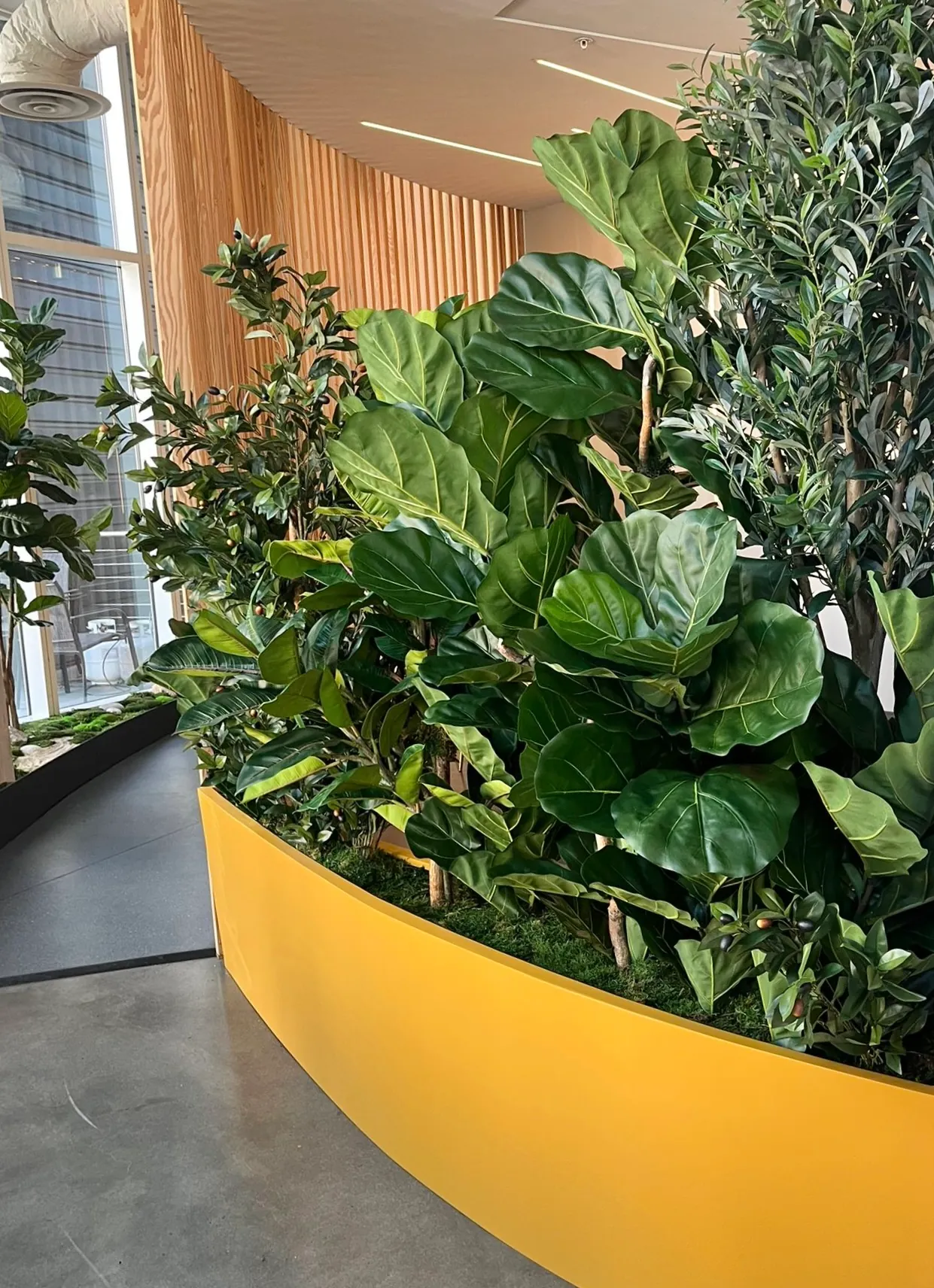 A curved yellow planter full of greenery