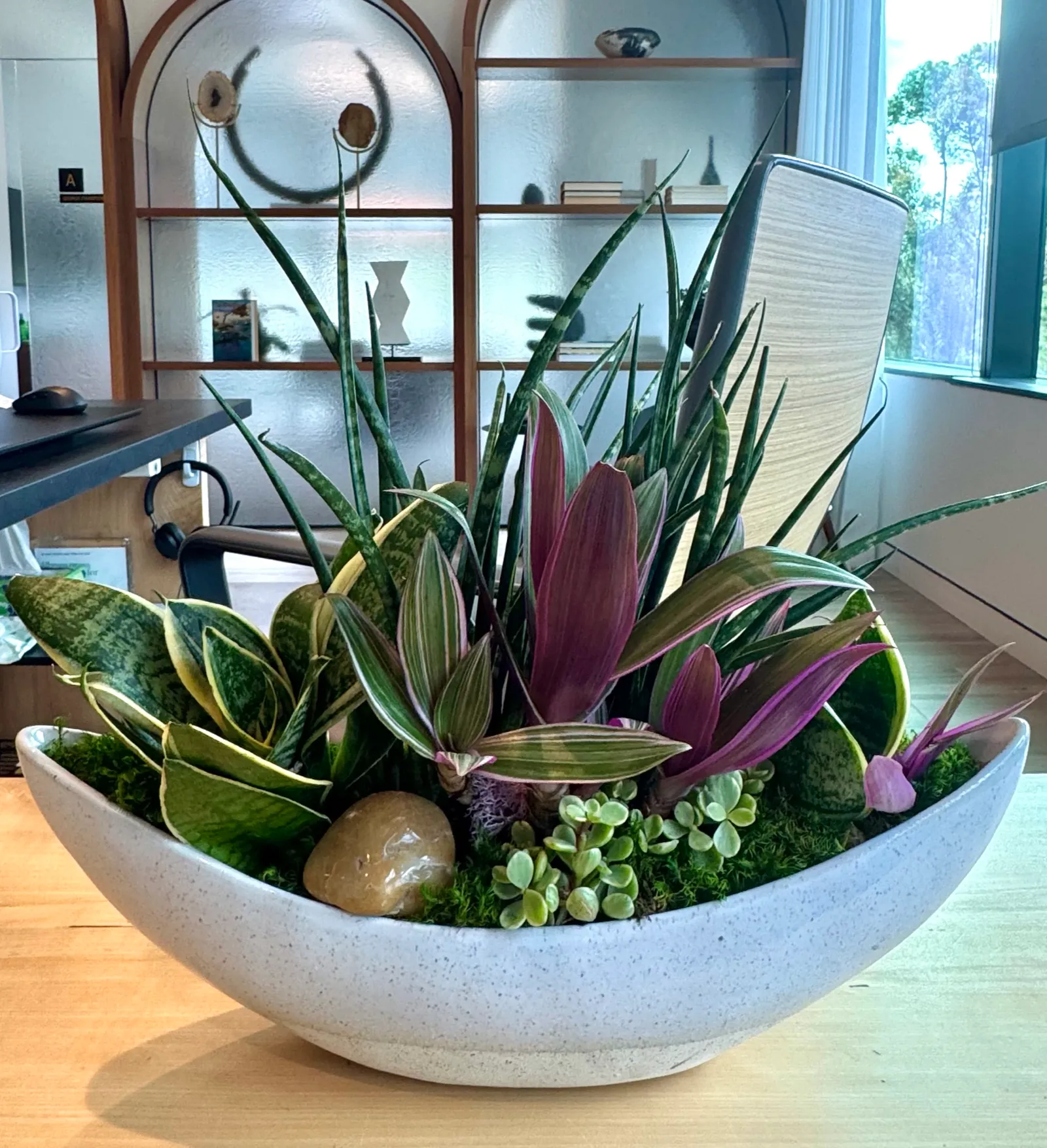 Succulent and specimen bowl arrangement