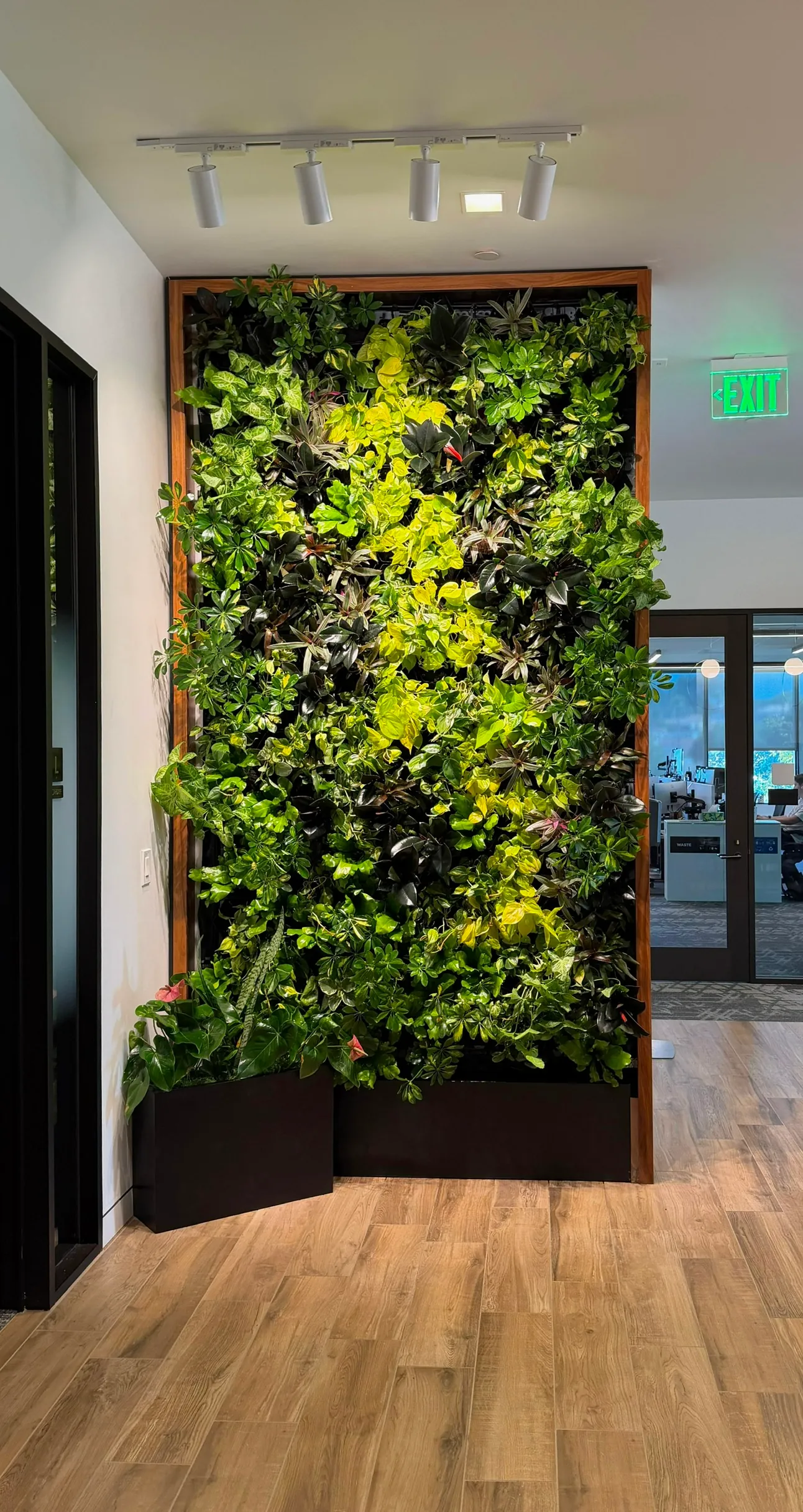 A tall living wall by an entry