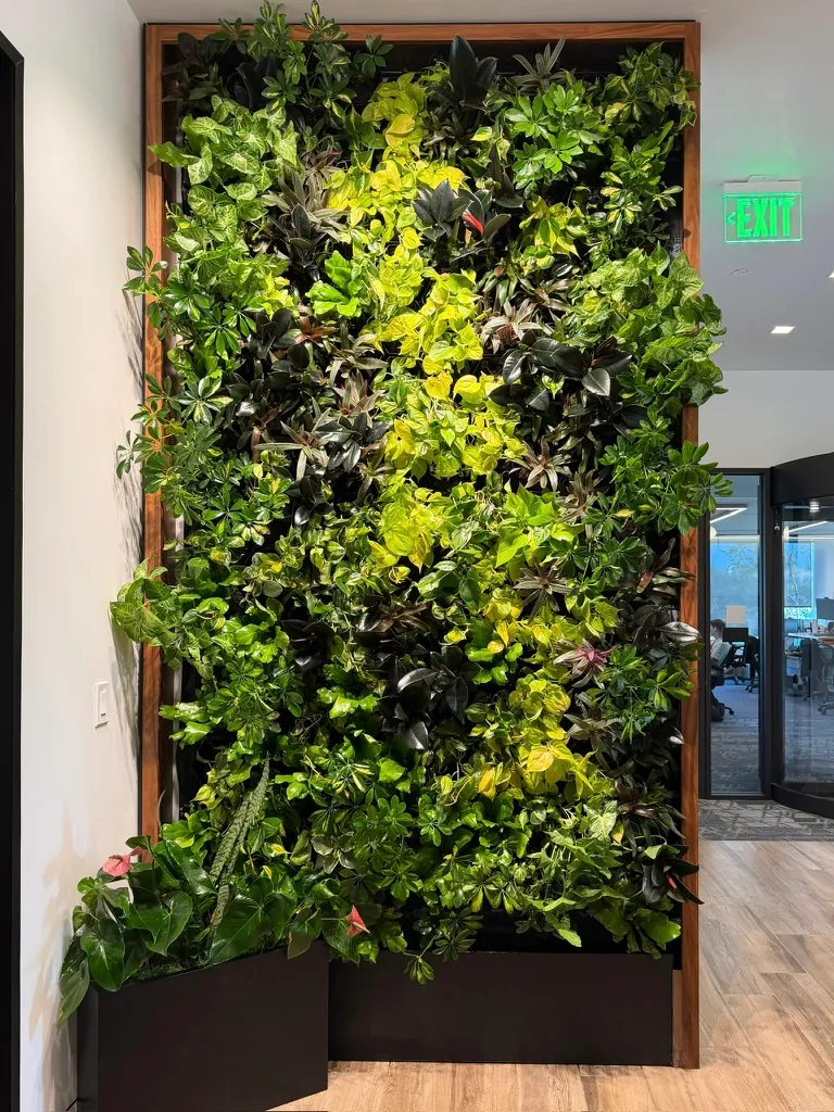 A tall living wall with a wood frame