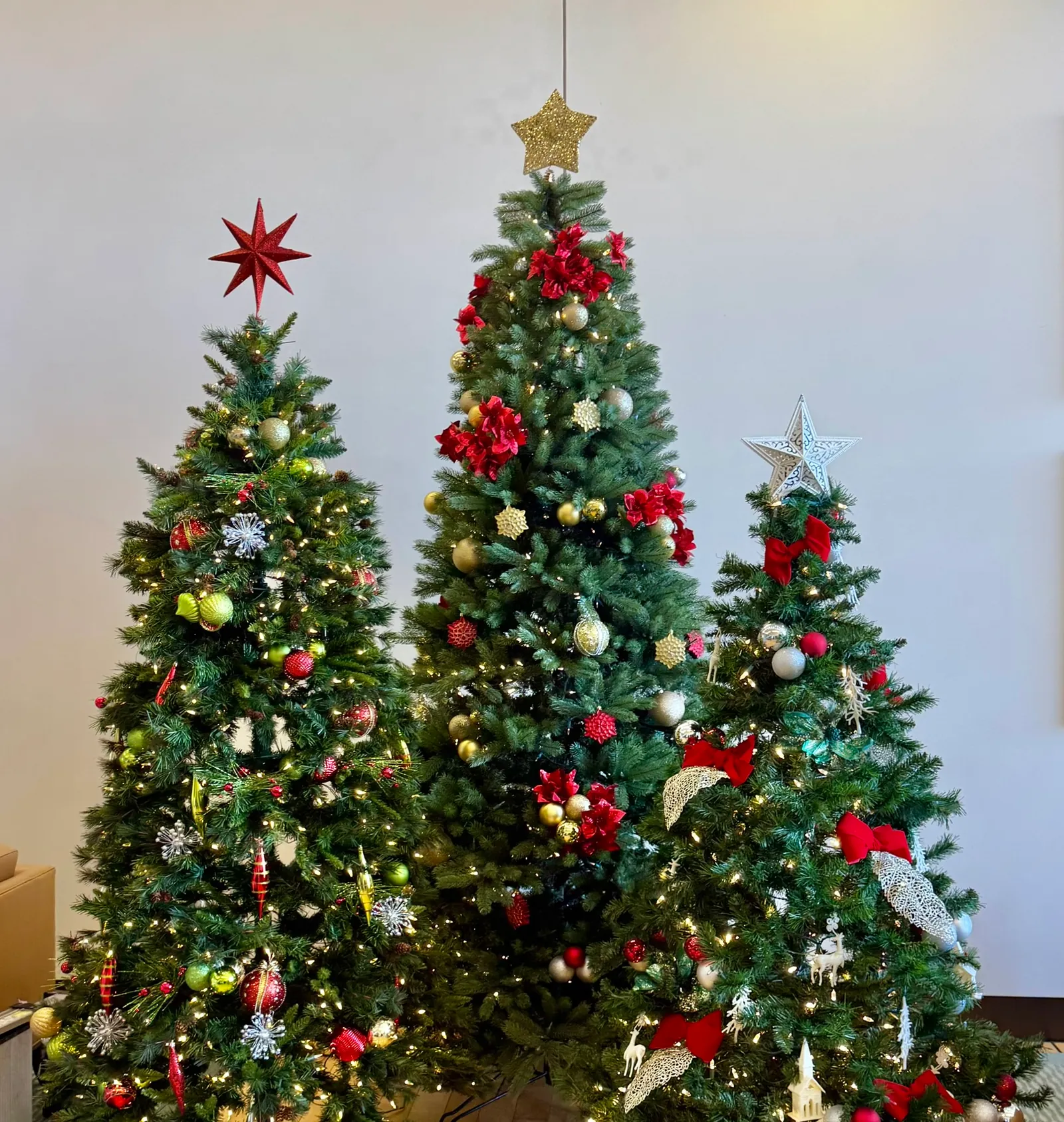 A trio of holiday trees
