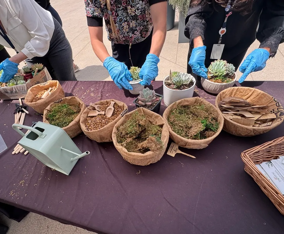 Hands potting plants at a workshop