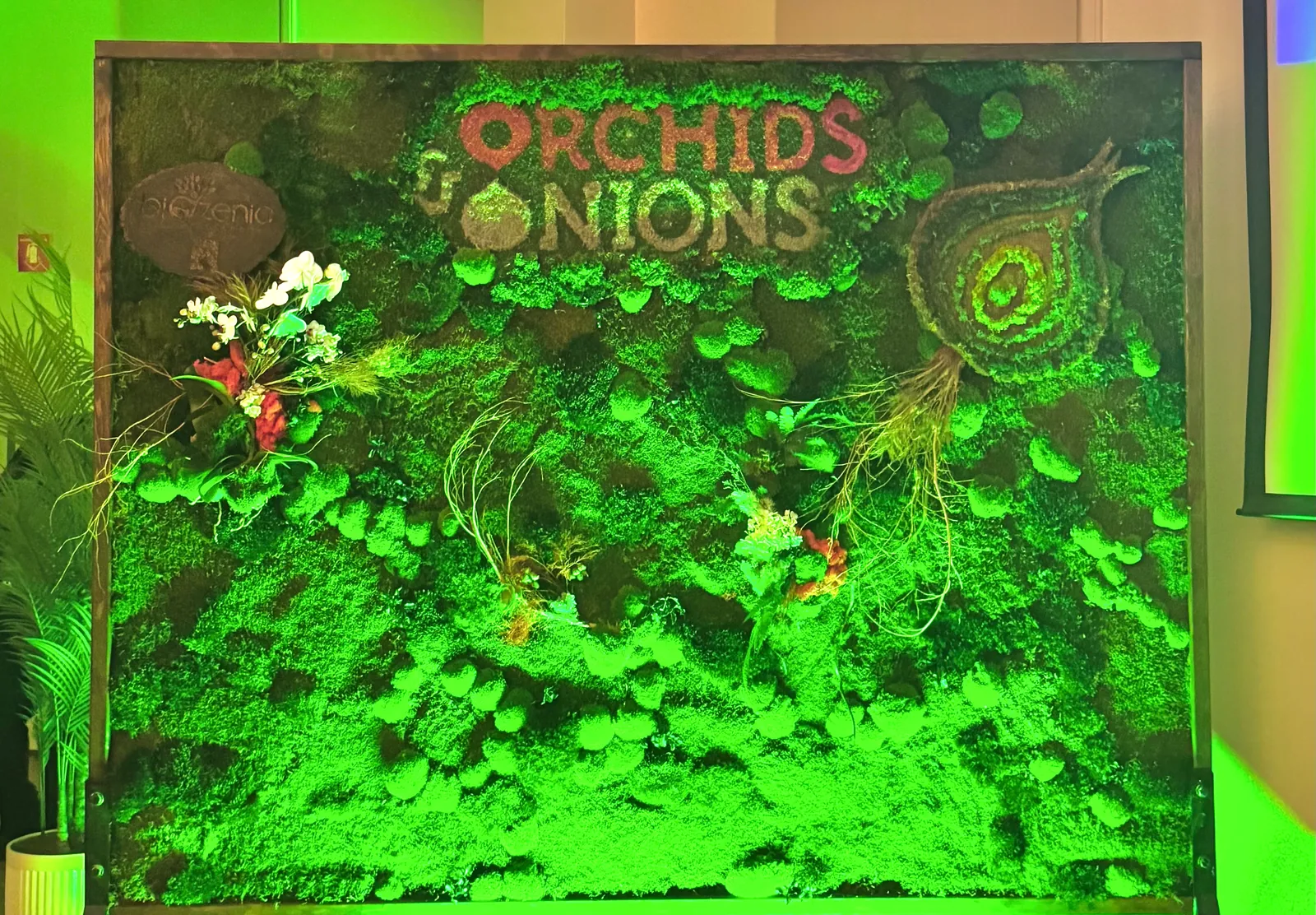 A moss and orchid event wall