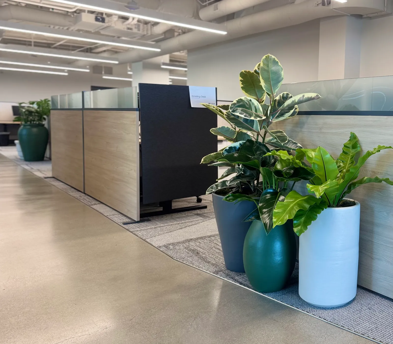 Planters beside the desks on an office floor