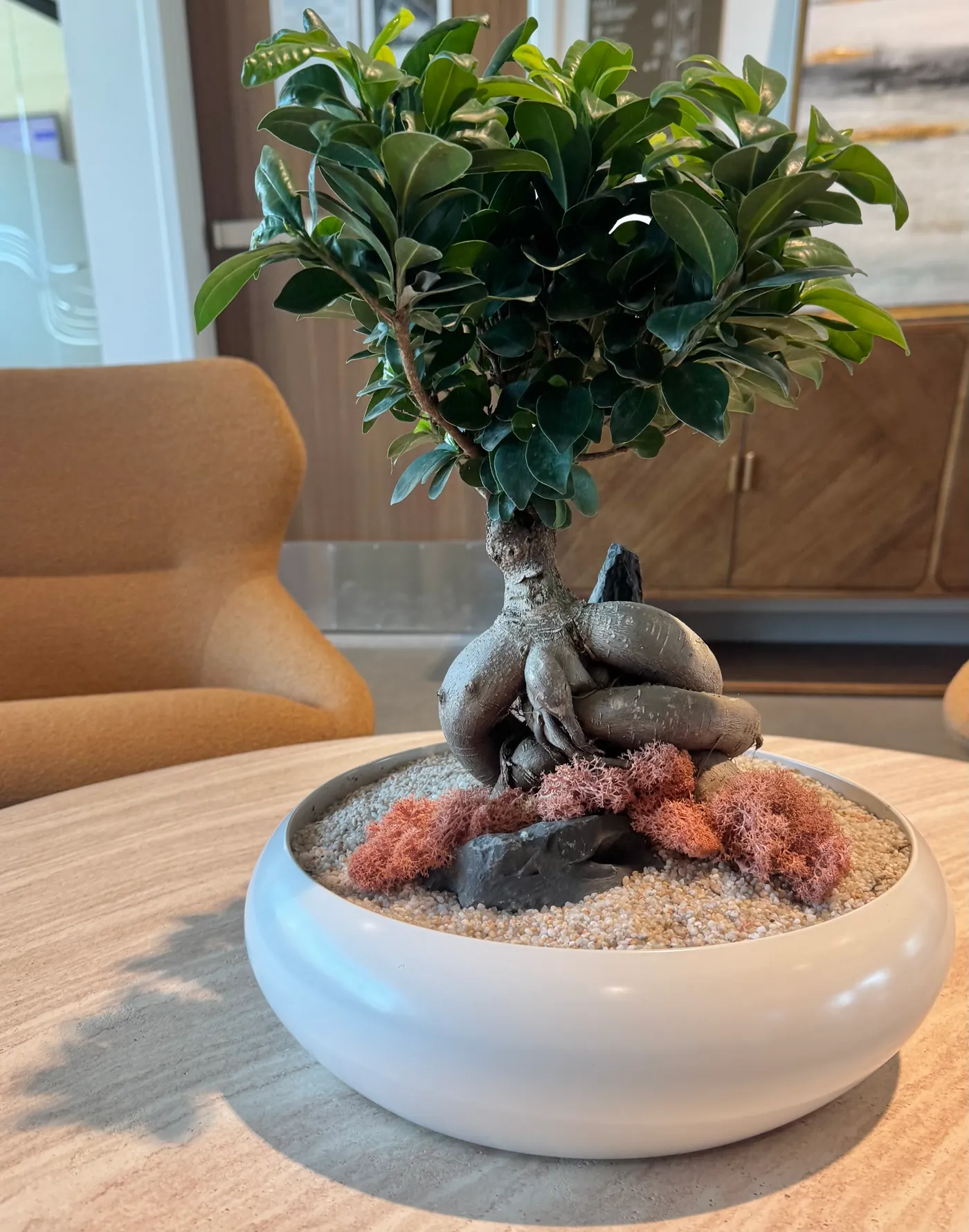 A bonsai bowl centerpiece