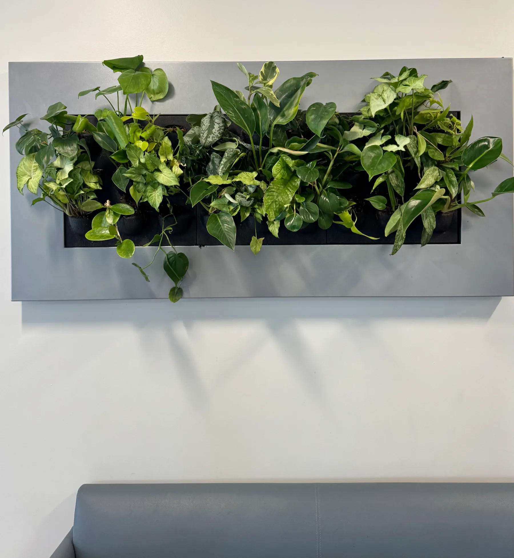 A living wall panel above a bench