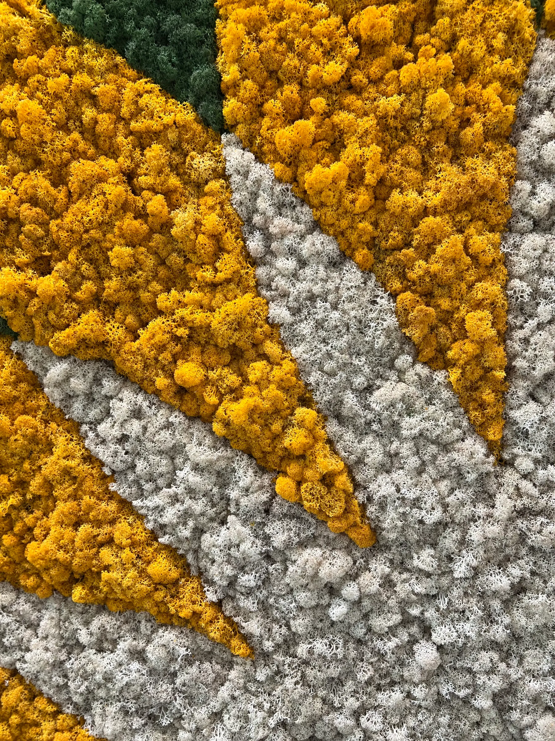 A close view of orange and white preserved moss