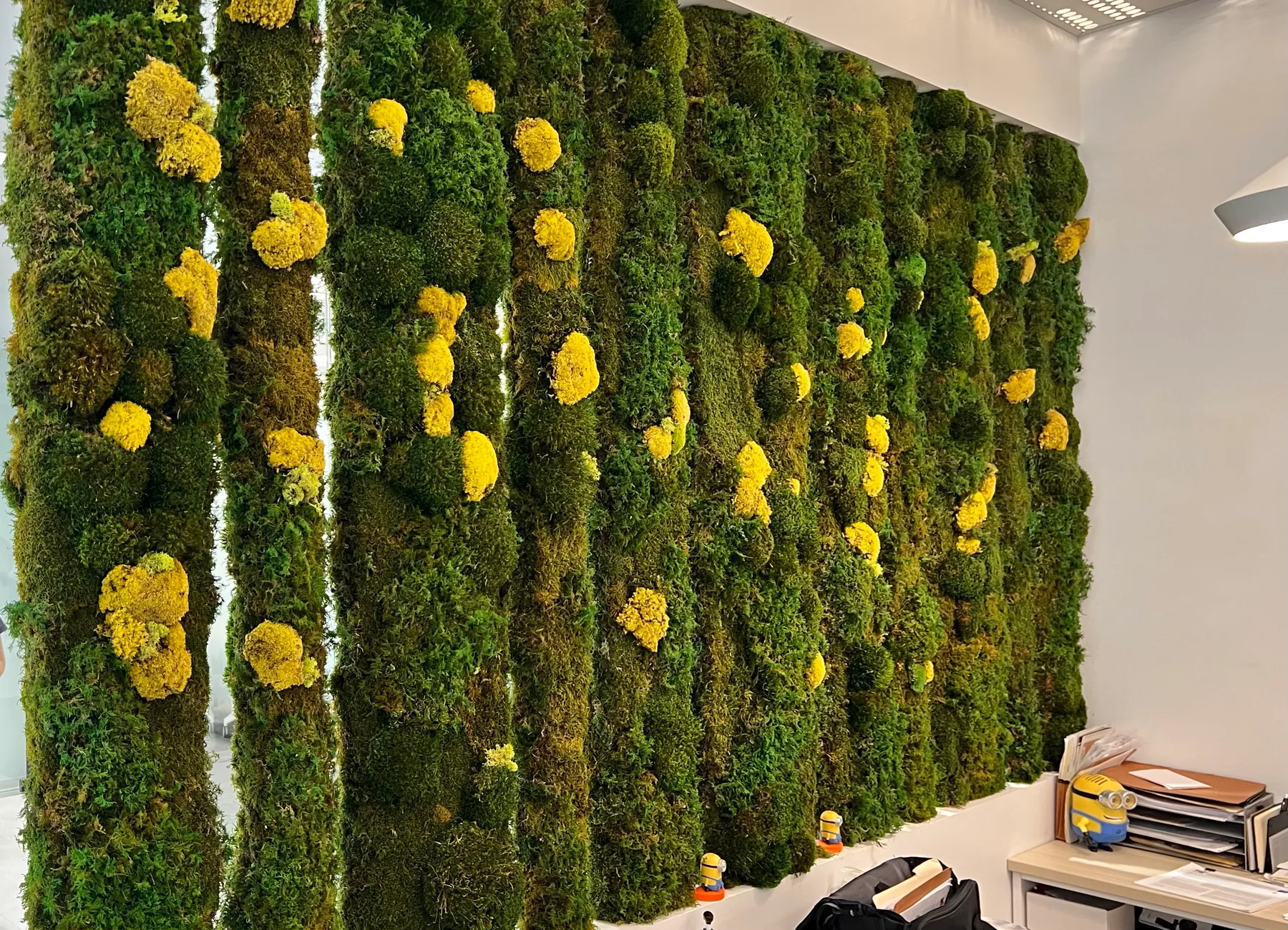 A wall of preserved moss columns