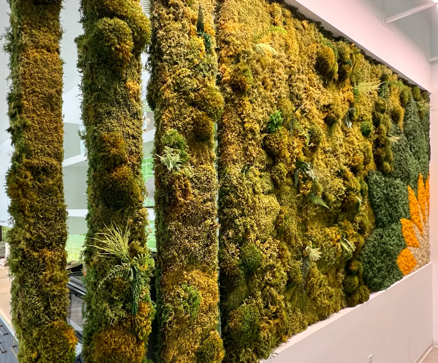 Moss columns with an orange edge