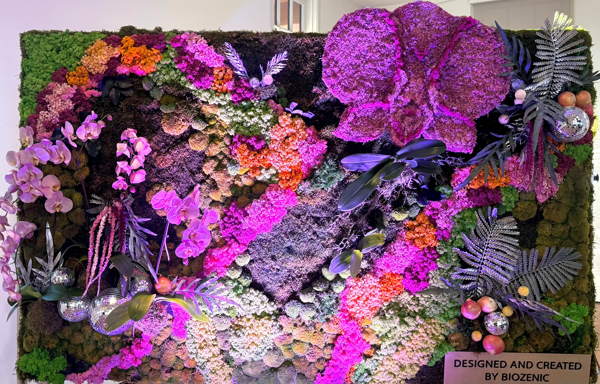 A preserved moss orchid art panel designed and built by Biozenic for Orchids & Onions 2026