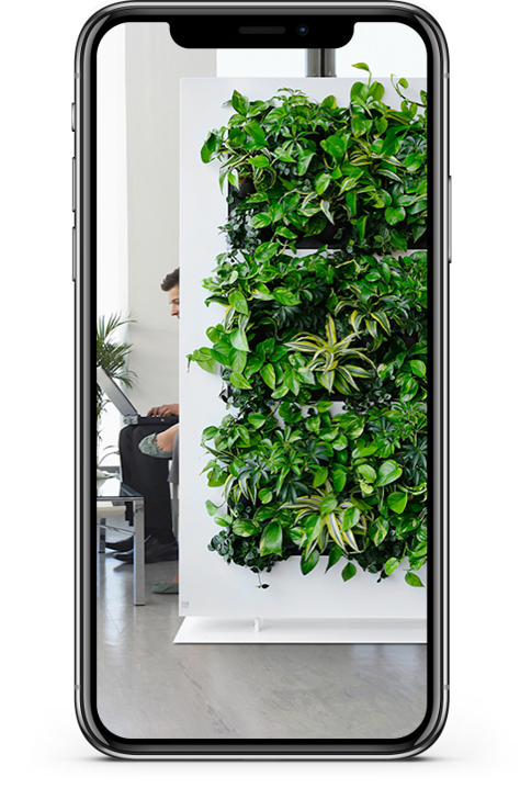 Green Screen for Privacy in Offices in Southern Cali