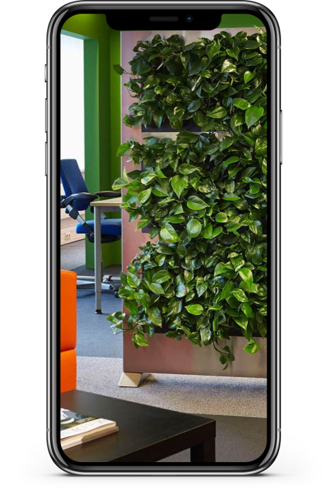 Green Screen for Privacy in Offices in Southern California for Businesses