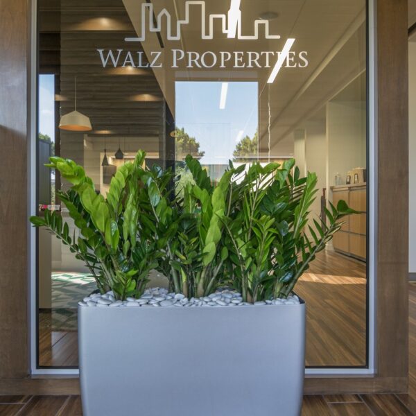 ZZ-Plant-and-Walz-Prop-Logo-2 (1)